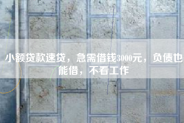小额贷款速贷，急需借钱3000元，负债也能借，不看工作