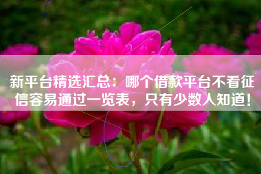 新平台精选汇总：哪个借款平台不看征信容易通过一览表，只有少数人知道！