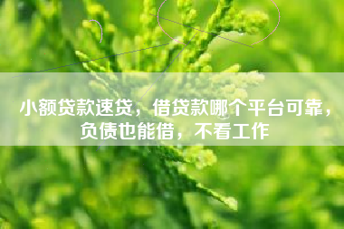 小额贷款速贷，借贷款哪个平台可靠，负债也能借，不看工作