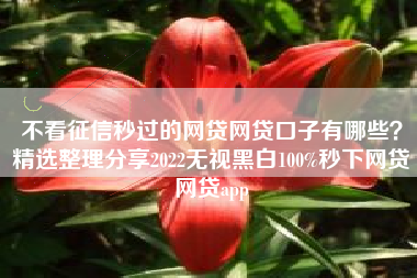 不看征信秒过的网贷网贷口子有哪些？精选整理分享2022无视黑白100%秒下网贷网贷app