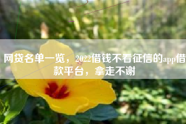 网贷名单一览，2022借钱不看征信的app借款平台，拿走不谢