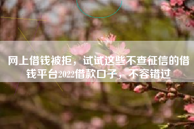 网上借钱被拒，试试这些不查征信的借钱平台2022借款口子，不容错过