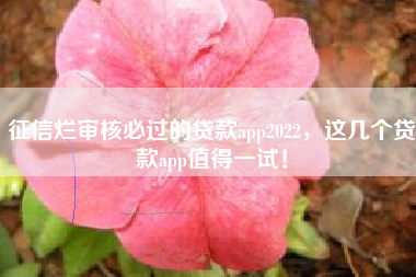 征信烂审核必过的贷款app2022，这几个贷款app值得一试！