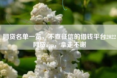 网贷名单一览，不查征信的借钱平台2022网贷app，拿走不谢
