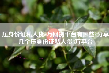 压身份证私人货3万网贷平台有哪些?分享几个压身份证私人货3万平台