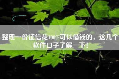 整理一份征信花100%可以借钱的，这几个软件口子了解一下！