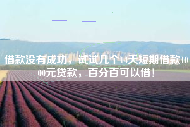 借款没有成功，试试几个14天短期借款1000元贷款，百分百可以借！