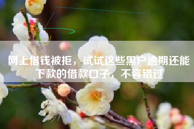 网上借钱被拒，试试这些黑户逾期还能下款的借款口子，不容错过