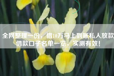 全网整理一份，借10万马上到账私人放款借款口子名单一览，实测有效！