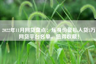 2022年11月网贷盘点：压身份证私人贷3万网贷平台名单，值得收藏！