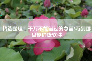 精选整理！千万不能错过的急需5万到哪里能借钱软件