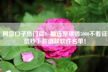 网贷口子热门篇：精选整理借5000不看征信秒下款借款软件名单！