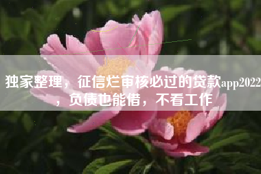 独家整理，征信烂审核必过的贷款app2022，负债也能借，不看工作