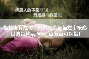 借款没有成功，试试几个征信烂审核必过的贷款app2022，百分百可以借！