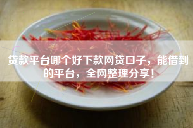 贷款平台哪个好下款网贷口子，能借到的平台，全网整理分享！