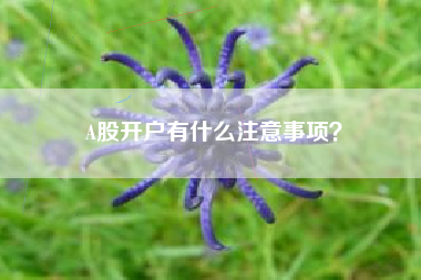 A股开户有什么注意事项？