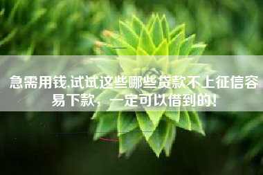 急需用钱,试试这些哪些贷款不上征信容易下款，一定可以借到的！