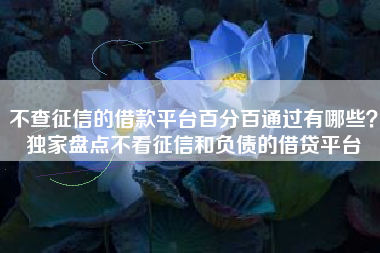 不查征信的借款平台百分百通过有哪些？独家盘点不看征信和负债的借贷平台