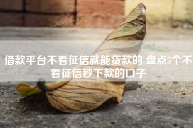 借款平台不看征信就能贷款的 盘点5个不看征信秒下款的口子