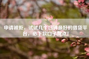 申请被拒，试试几个口碑最好的借贷平台，必下款口子盘点！