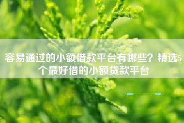 容易通过的小额借款平台有哪些？精选5个最好借的小额贷款平台