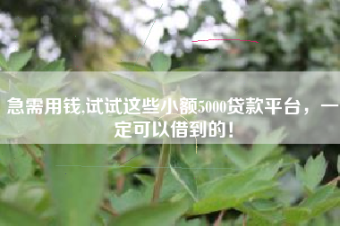 急需用钱,试试这些小额5000贷款平台，一定可以借到的！