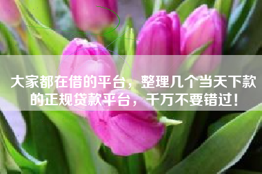 大家都在借的平台，整理几个当天下款的正规贷款平台，千万不要错过！