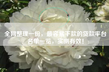 全网整理一份，最容易下款的贷款平台名单一览，实测有效！