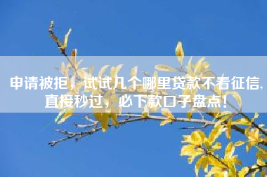 申请被拒，试试几个哪里贷款不看征信,直接秒过，必下款口子盘点！