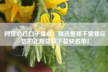 网贷必过口子盘点：精选整理不需要征信的正规贷款下款快名单！