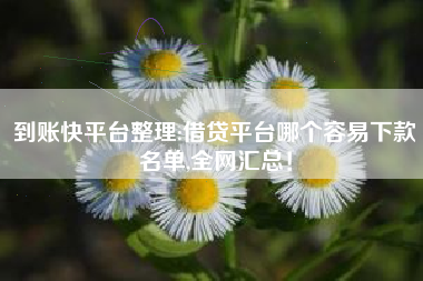 到账快平台整理:借贷平台哪个容易下款名单,全网汇总！