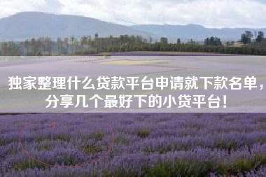 独家整理什么贷款平台申请就下款名单，分享几个最好下的小贷平台！
