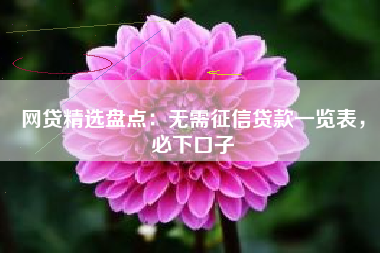 网贷精选盘点：无需征信贷款一览表，必下口子