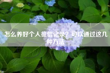 怎么养好个人征信记录？可以通过这几种方法