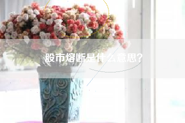 股市熔断是什么意思？