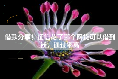 借款分享！征信花了哪个网贷可以借到钱，通过率高