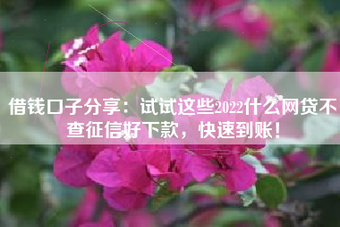 借钱口子分享：试试这些2022什么网贷不查征信好下款，快速到账！