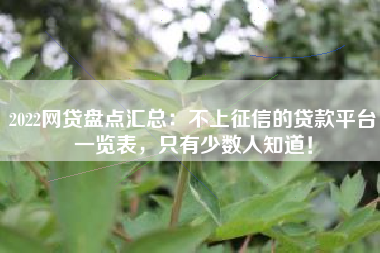 2022网贷盘点汇总：不上征信的贷款平台一览表，只有少数人知道！