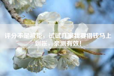 评分不足被拒，试试几家我要借钱马上到账，亲测有效！