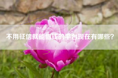 不用征信就能借钱的平台现在有哪些？