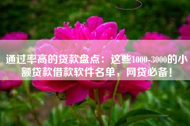 通过率高的贷款盘点：这些1000-3000的小额贷款借款软件名单，网贷必备！