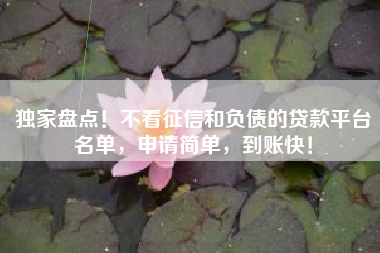 独家盘点！不看征信和负债的贷款平台名单，申请简单，到账快！