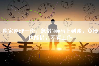 独家整理一份，急借5000马上到账，负债也能借，不看工作