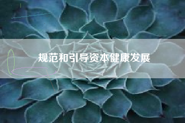 规范和引导资本健康发展