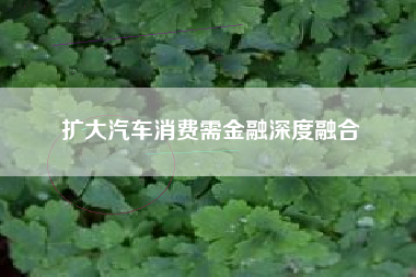 扩大汽车消费需金融深度融合