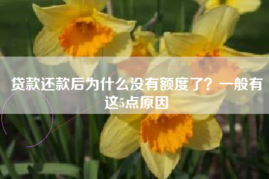 贷款还款后为什么没有额度了？一般有这5点原因