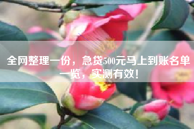 全网整理一份，急贷500元马上到账名单一览，实测有效！