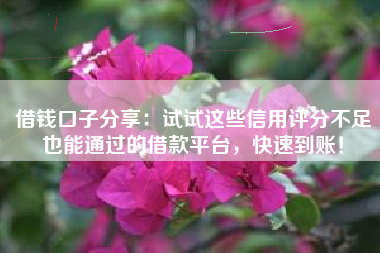 借钱口子分享：试试这些信用评分不足也能通过的借款平台，快速到账！