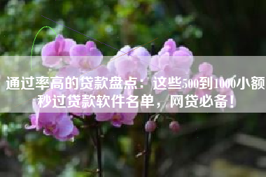通过率高的贷款盘点：这些500到1000小额秒过贷款软件名单，网贷必备！