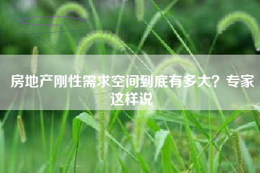 房地产刚性需求空间到底有多大？专家这样说